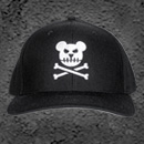 BEAR BONES CAP