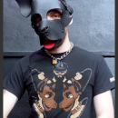 MASTER OF PUPPIES
