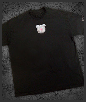 DISCO BEAR